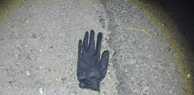 Blood-stained gloves reported in Guthrie case Blood-stained gloves reported in Guthrie case