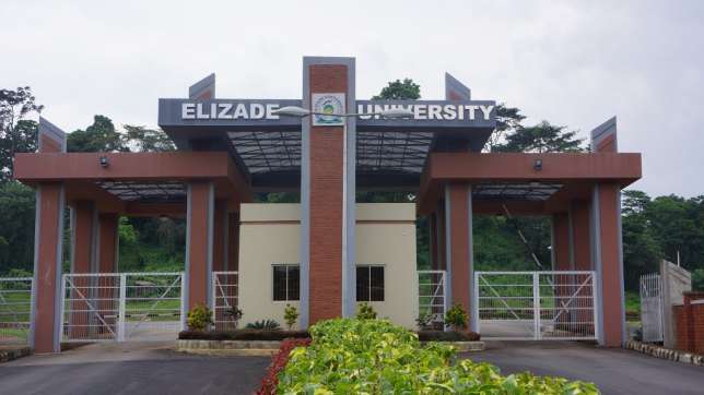 Elizade VC warns parents against sending young children abroad for studies
