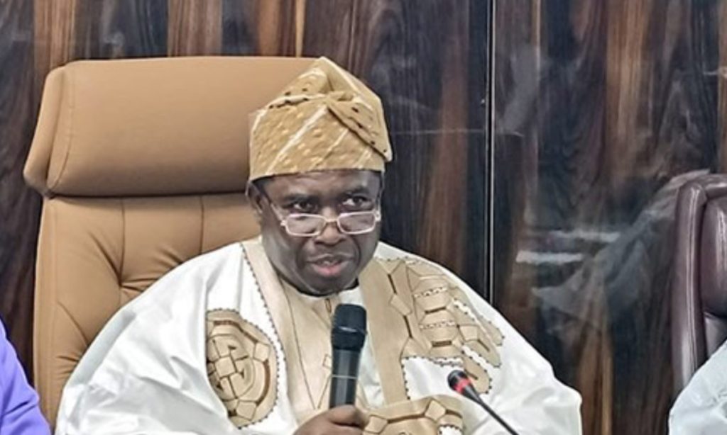 2027: We may not achieve 100 per cent perfect election for now – INEC 2027: We may not achieve 100 per cent perfect election for now – INEC