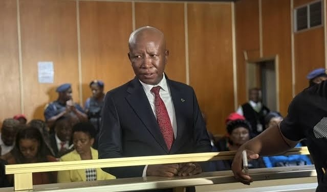 Malema’s sentencing political, say freedom fighters 