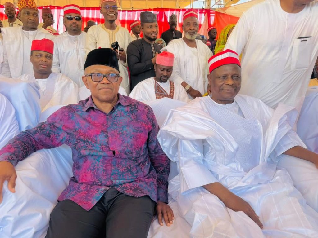 ADC: Kwankwaso, Obi rally northern leaders against Atiku