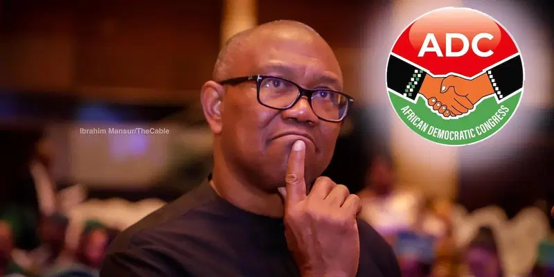 Abacha more democratic than NADECO activists – Peter Obi