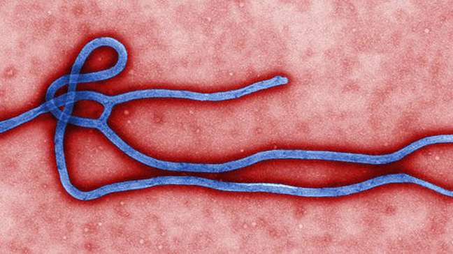 NCDC raises Ebola alert as Nigeria braces for possible outbreak NCDC raises Ebola alert as Nigeria braces for possible outbreak