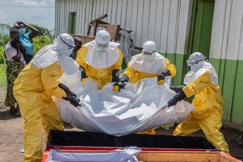 Ebola Alert: Doctors warn Nigerians against bush meat consumption Ebola Alert: Doctors warn Nigerians against bush meat consumption