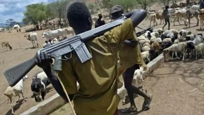 Fulani group to US panel: We are not the sole source of insecurity in Nigeria Fulani group to US panel: We are not the sole source of insecurity in Nigeria