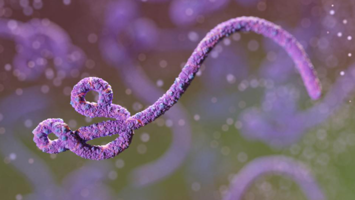 U.S. mobilises million for Africa amid Ebola outbreak U.S. mobilises million for Africa amid Ebola outbreak