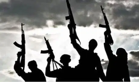 US panel links Police and Army to militia attacks, accuses them of collusion