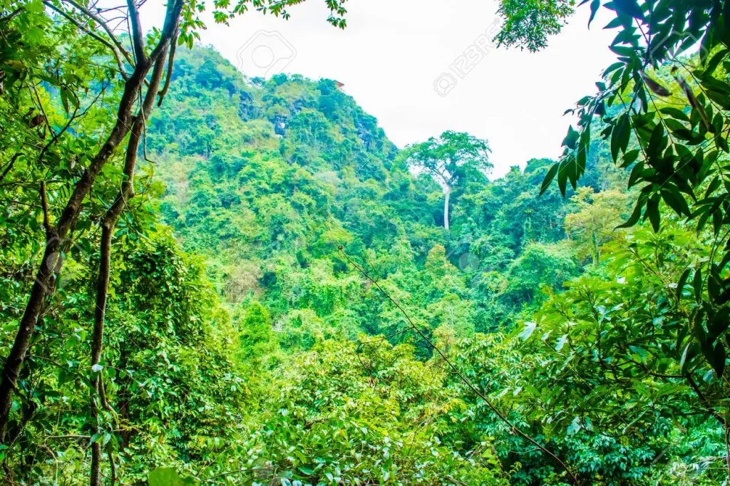 Kidnapped passengers escape as bandits ‘doze off’ in forest