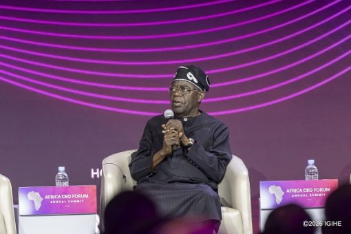 Tinubu at Africa CEO forum: Nigerian youths will vote me out over their potential
