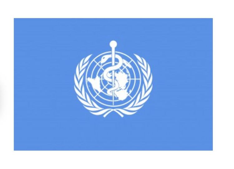 WHO chief says Ebola outbreak ‘spreading rapidly’ and upgrades risk assessment… WHO chief says Ebola outbreak ‘spreading rapidly’ and upgrades risk assessment…