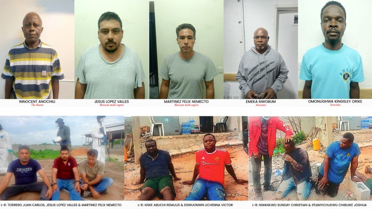 NDLEA dismantles transnational drug ring, seizes ₦480B in Meth after Ogun forest raid