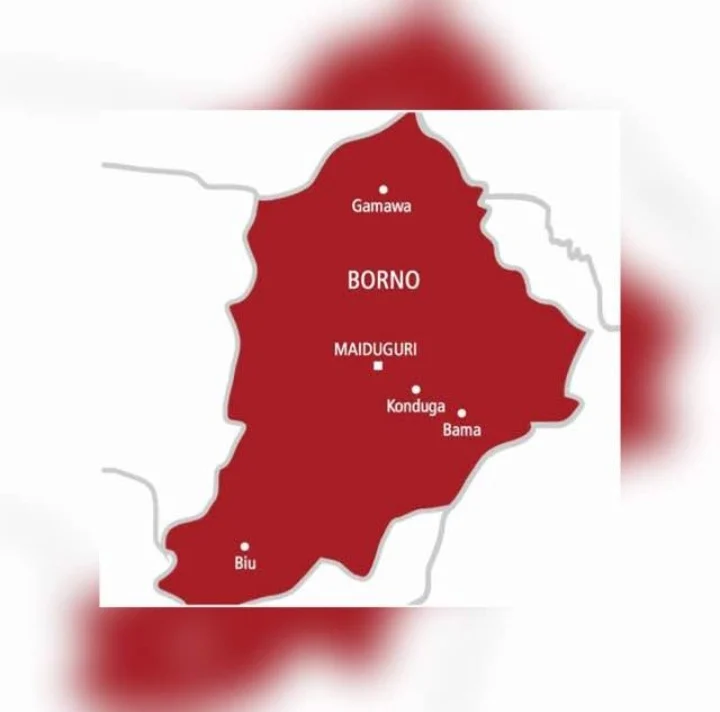 360 freed Borno captives recount starvation, deaths suffered in terrorists’ den