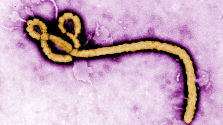 DR Congo Ebola outbreak death toll climbs to 136 as cases reach 676 DR Congo Ebola outbreak death toll climbs to 136 as cases reach 676