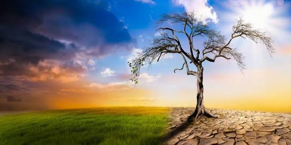 FG raises alarm over climate change threat to food, national security