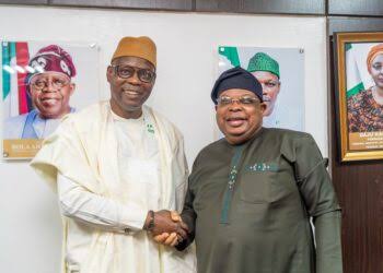 FG promises 30% uninterrupted power supply to tertiary health facilities by 2027