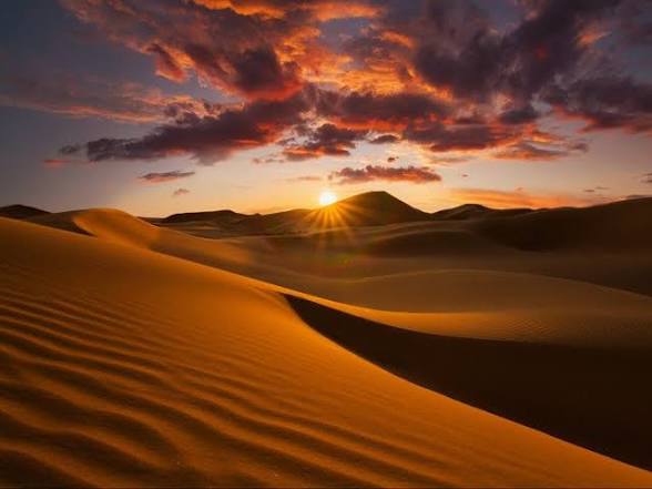 49 die of thirst after truck breaks down in Sahara Desert