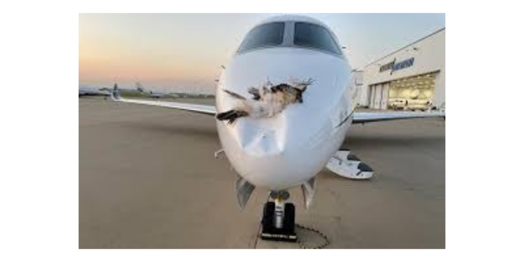 Air Peace grounds plane, cancels Warri-Lagos flight after bird strike