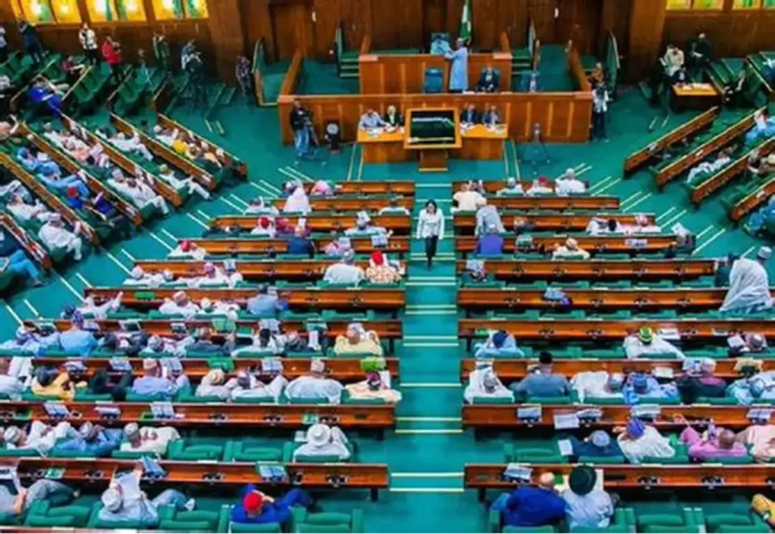 Reps in uproar over motion seeking to summon Tinubu Reps in uproar over motion seeking to summon Tinubu